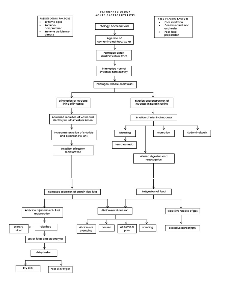 54891754 Pathophysiology Acute Gastroenteritis AGE