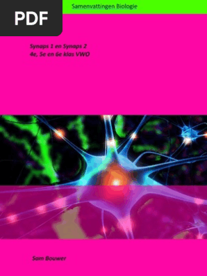 Samenvatting Synaps 1 En 2