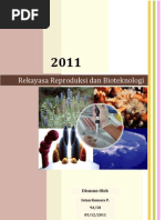 Download Makalah Biologi Rekayasa reproduksi dan bioteknologi by Elok Tiara SN117495894 doc pdf