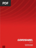 Gorosabel Stone Profile 2013