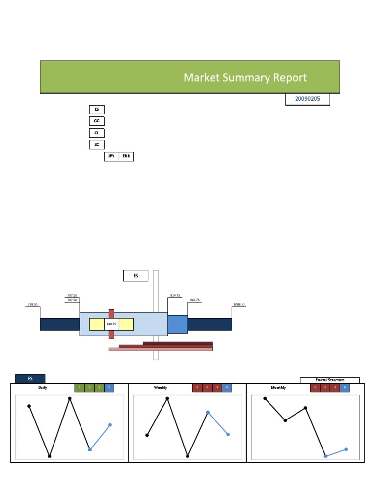 Market Summary Report 20090205 | PDF