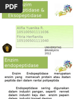 Download Enzim Endopeptidase  Eksopeptidase by Hmi TP UB SN117508146 doc pdf