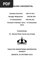 Download trauma urogenital by nenovita SN117509617 doc pdf