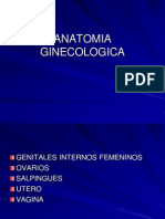 Anatomia Ginecologica