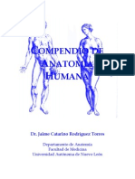 Compendio de anatomia humana