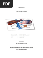 Download referat sirosis hepatis by Anna Hafeezah Zahrah SN117518757 doc pdf