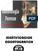 Identificacion Odontografica