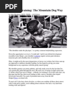 Superhero Workouts Pdf