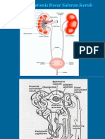 CKD & ARF(Kuliah)Edit