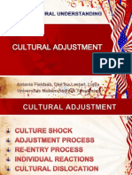 Cultural Adjustment