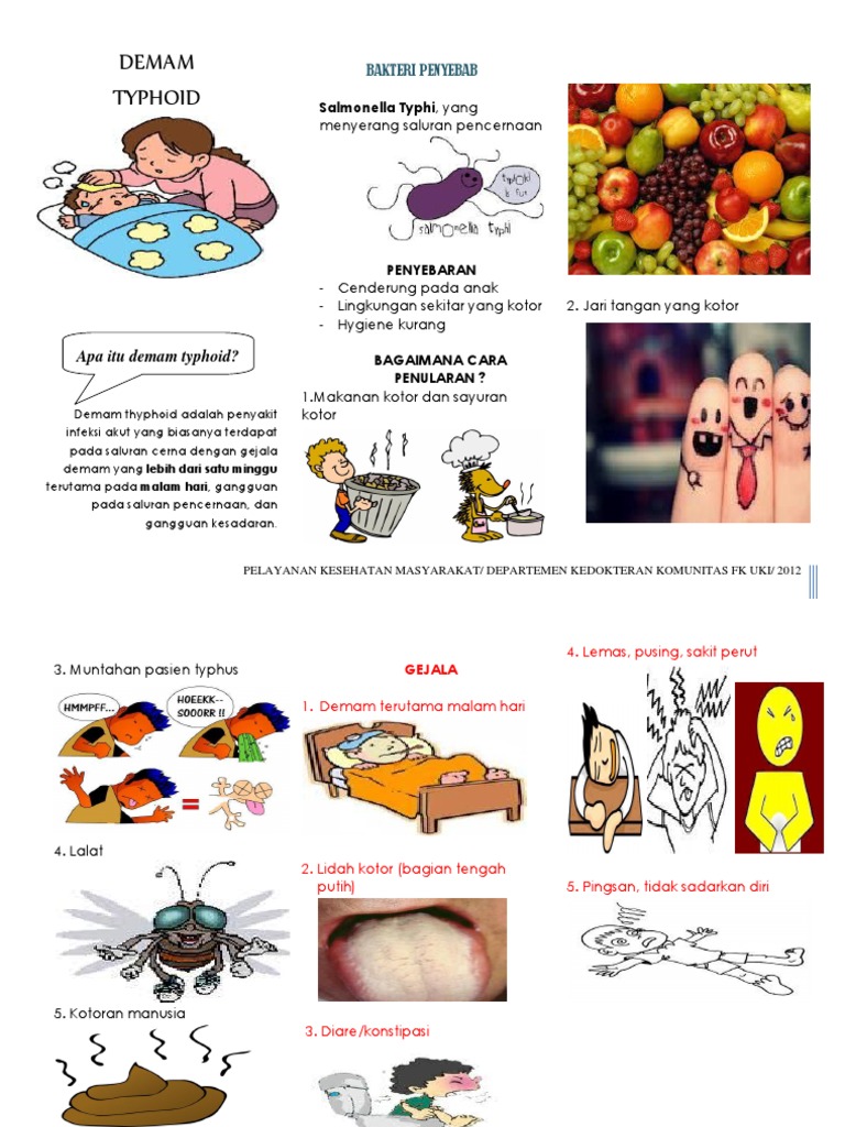 Leaflet Demam Tifus Oyis