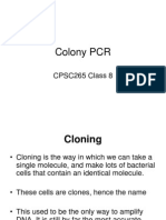 Colony PCR: CPSC265 Class 8