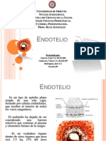 Función Del Oxido Nítrico