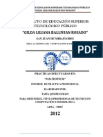 Informe de La Practica TAPIA QUISPE