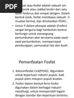 Download Fosfat by zuhrotus_syarifah SN117660474 doc pdf