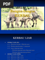 Download BAngsa-bangsa Kerbau by Mohammad Ridwan Setiyono SN117665874 doc pdf