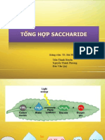 Quang Hop & Glycogen