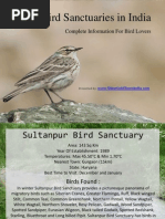 Download Bird Sanctuaries in India by Sarah Garner SN117689834 doc pdf