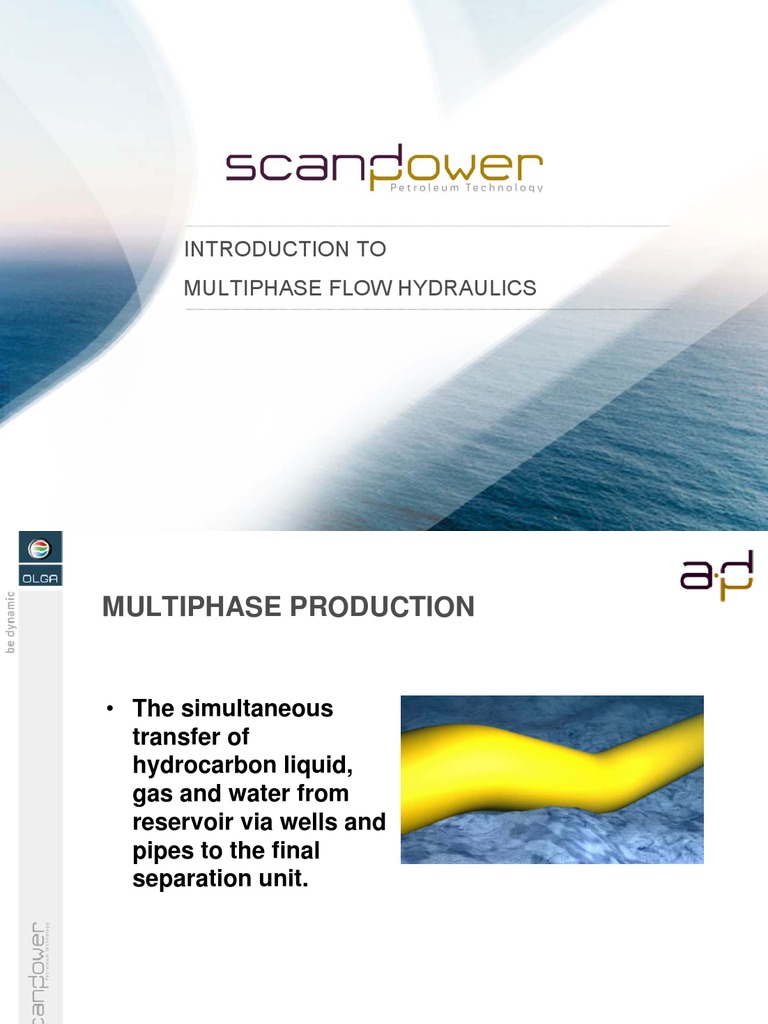 Multiphase Flow Hydraulics Overview | PDF | Viscosity | Fluid Dynamics