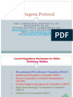 Cartagena Protocol