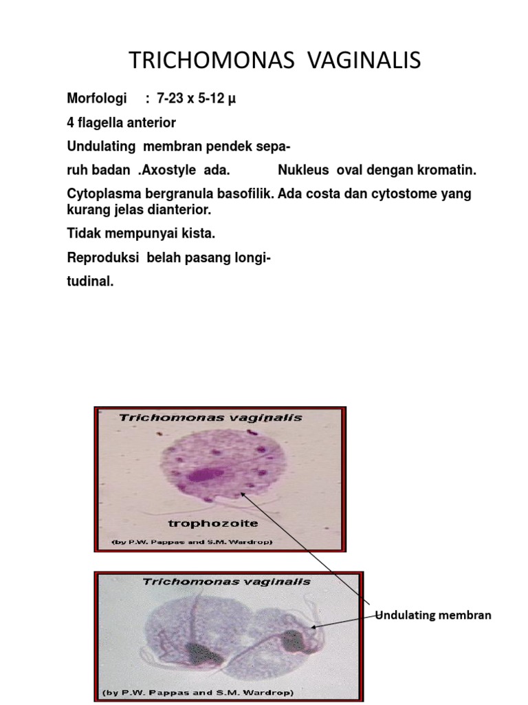 Fisting anal porno videolarni tomosha qiling