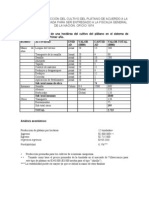 Costos de produccion cultivo de banano