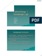 Pal Lab Vertebrate