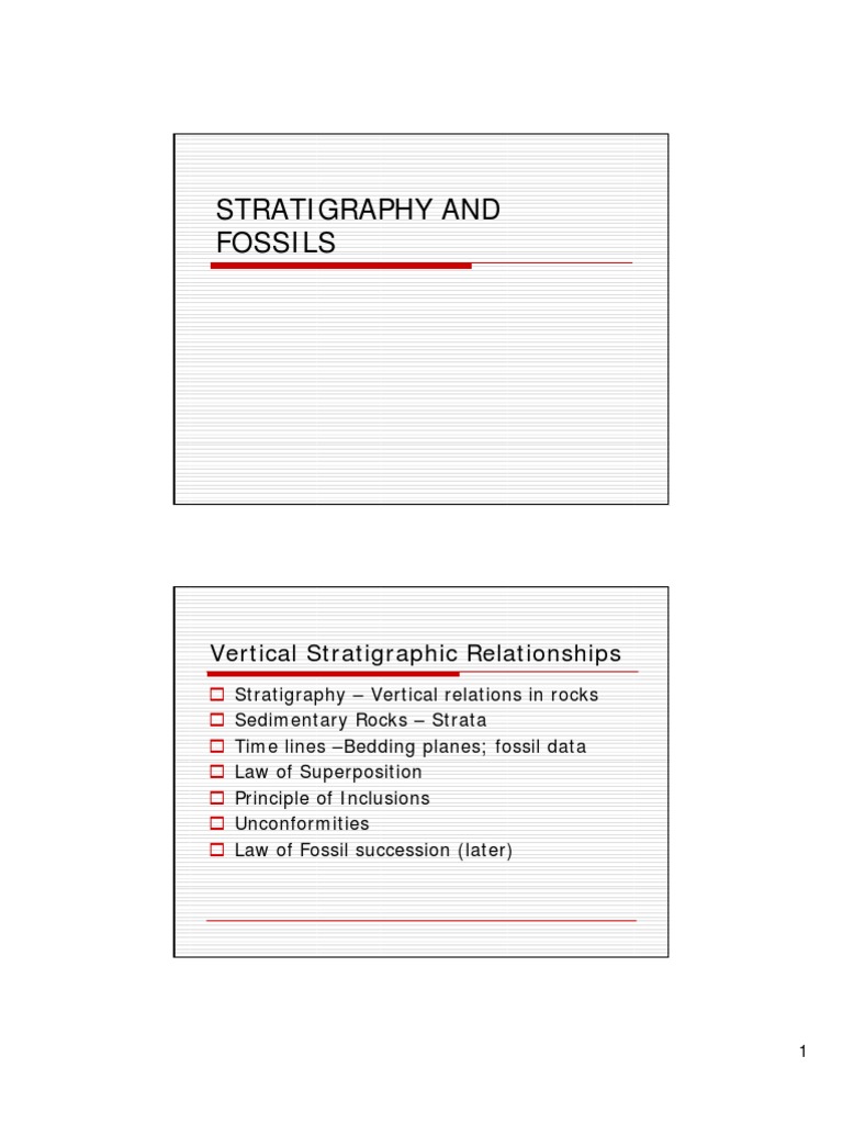 Strat I Graphy and Fossils | PDF | Fossil | Sedimentary Rock