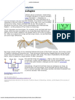 UE - Homologies and Analogies