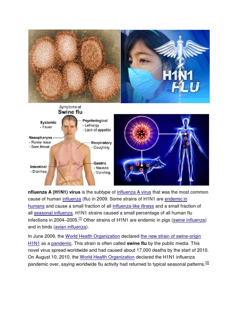 Nfluenza A (H1N1) Virus Is The Subtype of | PDF | Influenza A Virus ...