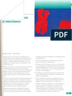 Chromosomnal Theory