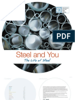 Life of Steel