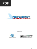 1 - Proposta Polo Aeronautico