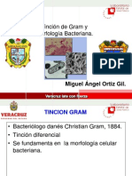 Tincion-Gram-y-Morfologia-Bacteriana