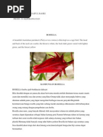 Download Rosella by Fitrie SLalu TersEnyum SN117818738 doc pdf