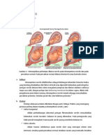 Tugas Case Neonatusk