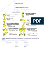 Formas de Memorizar Os Artigos Da Lei Escoteira