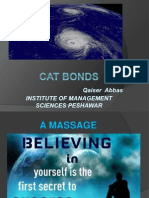 Cat Bond Market