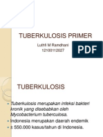 Css Tuberkulosis Primer