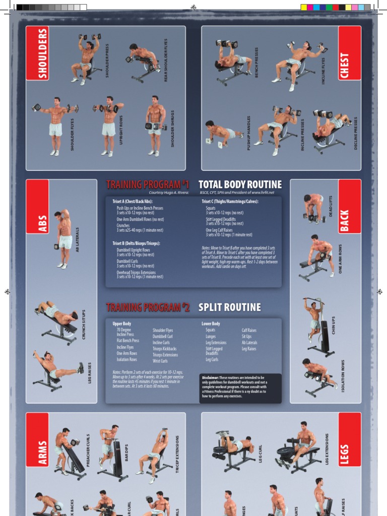Dumbbell Exercise Poster | PDF | Self-Improvement | Lifestyle for Chart Of Dumbbell Exercises Free Printable