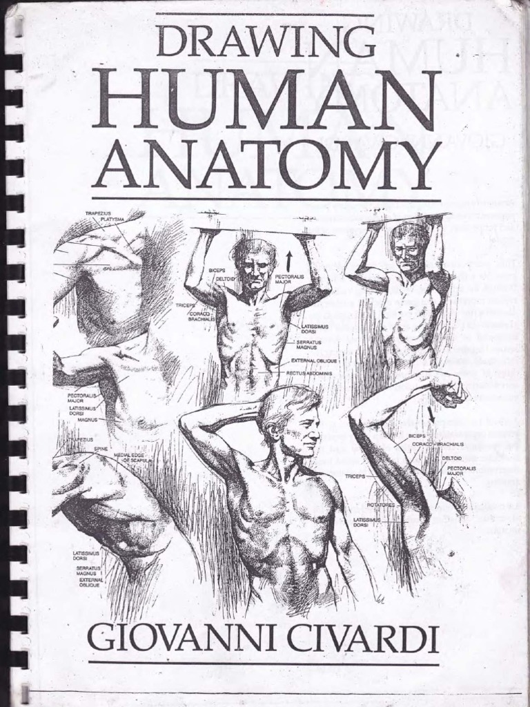 Drawing Human Anatomy by Giovanni Civardi | PDF | Biology | Nature