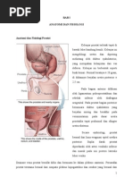 Download CA Prostat Referat by Fransiscus Ronaldo SN117904770 doc pdf