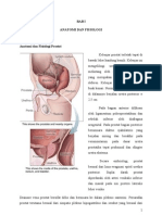 CA Prostat Referat