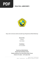 Download Referat Radiologi Trauma Abdomen by Natalie Echy SN117913353 doc pdf