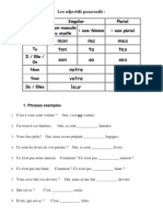 Les Adjectifs Possessifs. Exercises.