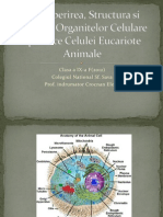 Descoperirea, Structura Si Rolurile Organitelor Celulare Specifice