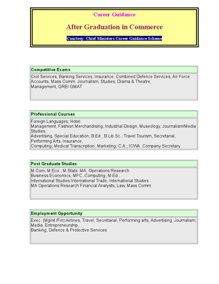 After Graduation in Commerce | PDF