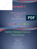 Download Bakteri Patogen Saluran Pencernaan Ppt by Ekka Ramayanti Aquea SN117979696 doc pdf