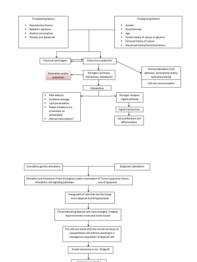 breasy cancer (ductal carcinoma) stage 4 with bone metastasis