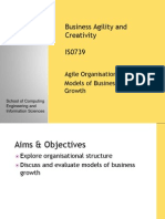 Business Agility and Creativity IS0739: Agile Organisation I: Models of Business Growth